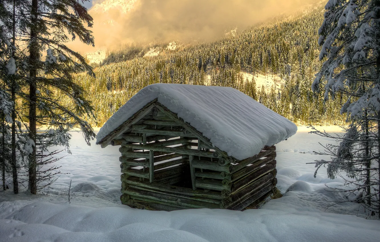 Фото обои зима, лес, снег, деревья, ель, бревна, домик, постройка