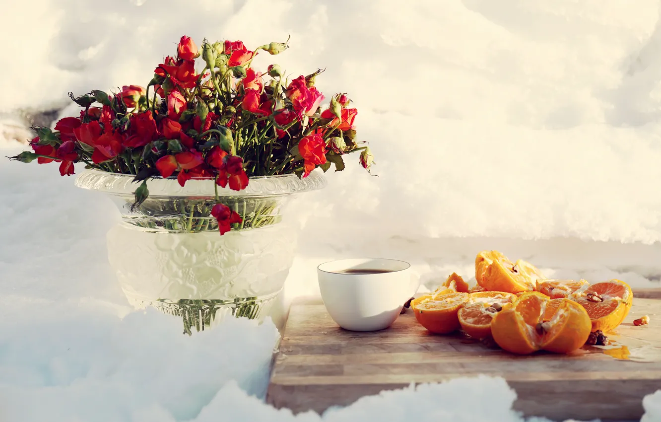 Фото обои flowers, snow, coffee, oranges