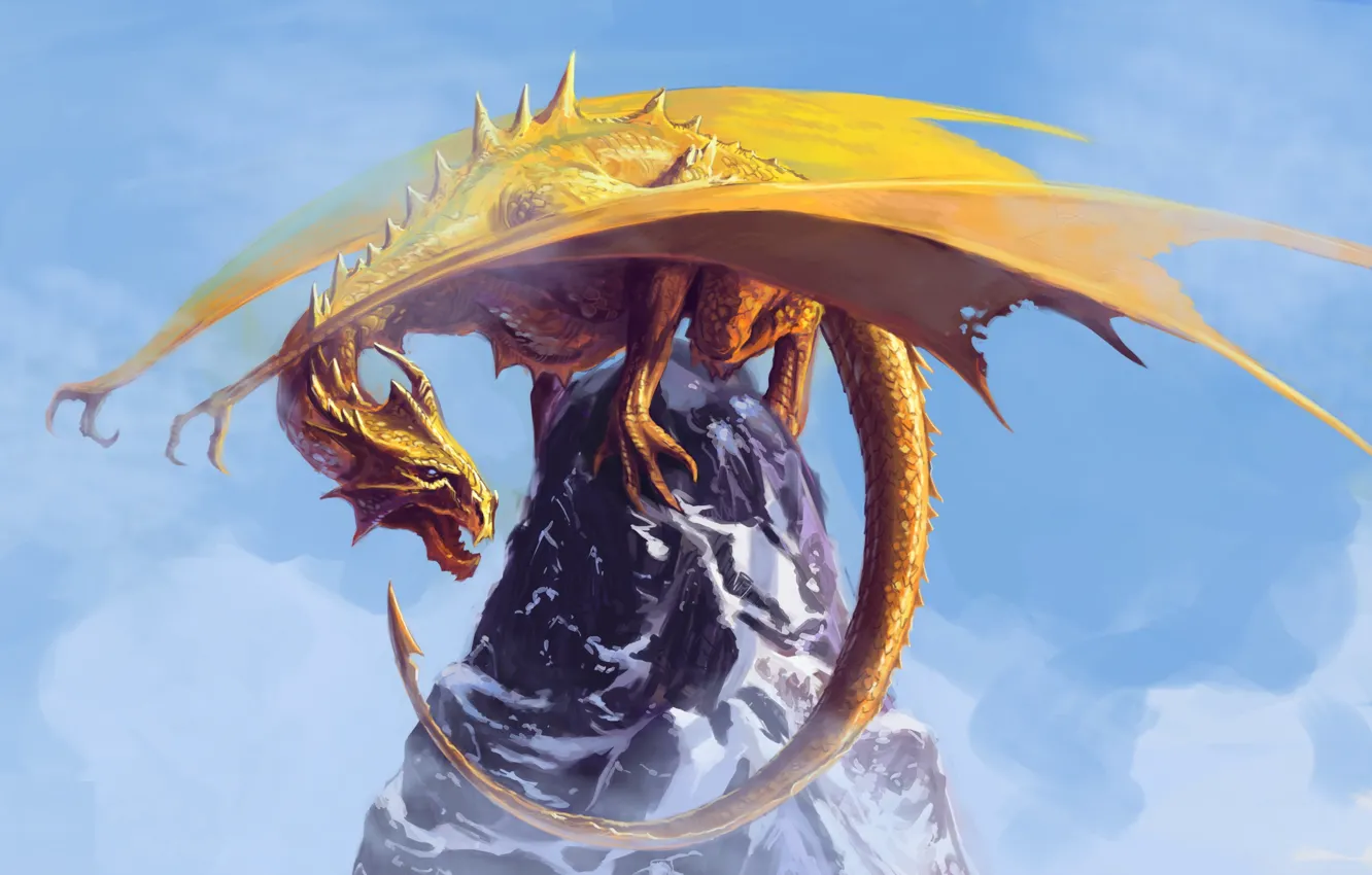 Фото обои небо, морда, скала, фантастика, дракон, крылья, желтые, арт