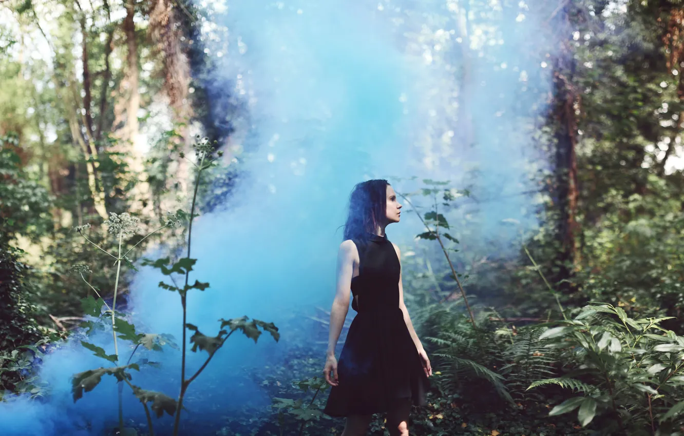 Фото обои лес, девушка, туман, платье