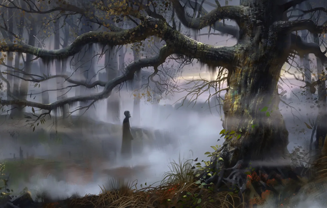 Фото обои лес, деревья, туман, человек, арт, болота, русь