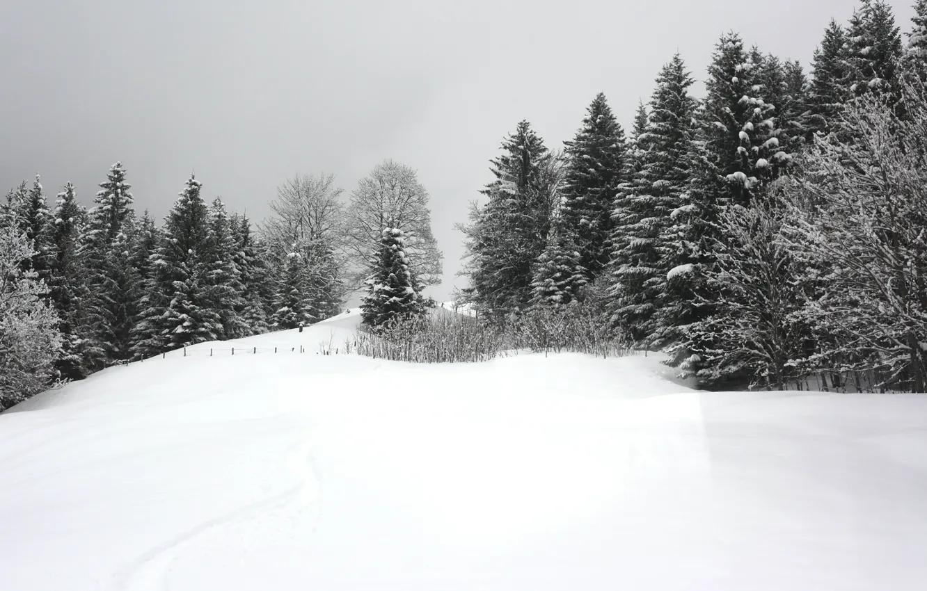 Фото обои Зима, Снег, Мороз, Winter, Frost, Snow, Сугробы