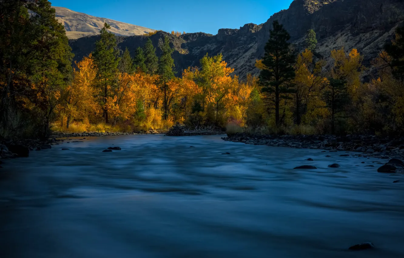 Фото обои осень, деревья, горы, река, Washington State, Штат Вашингтон, Naches River, Река Начес