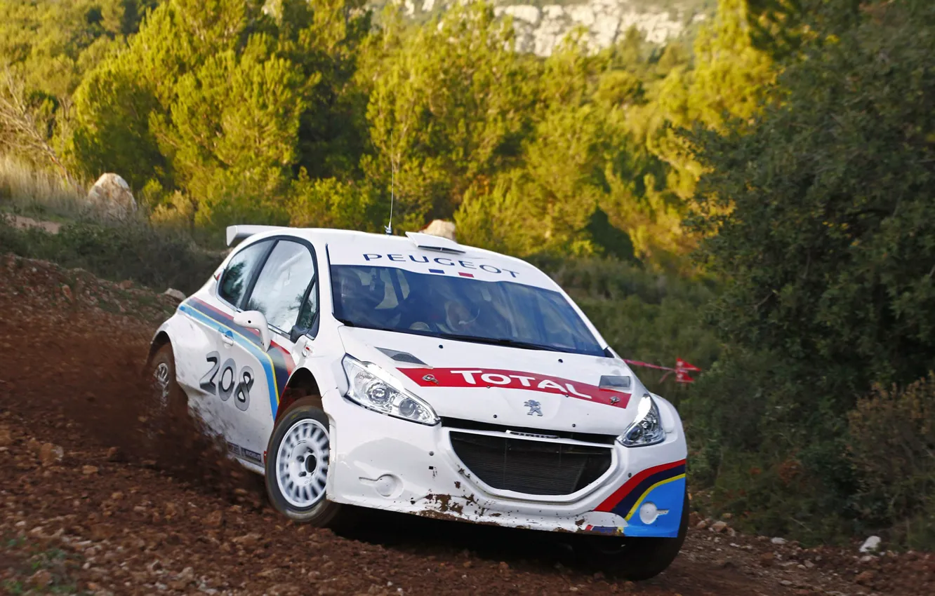 Фото обои пежо, ралли, Peugeot 208 Type R5