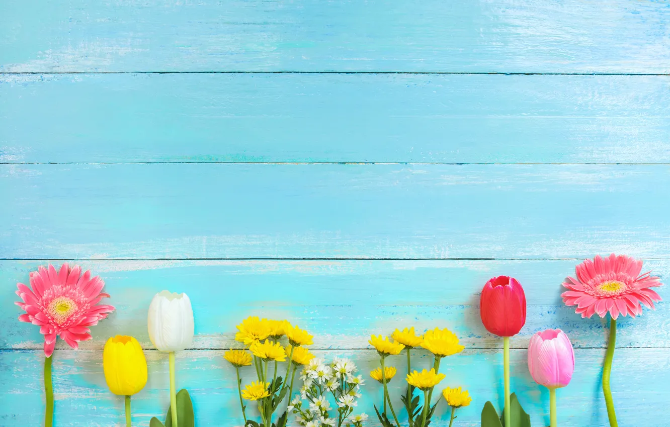 Фото обои цветы, весна, colorful, тюльпаны, герберы, хризантемы, wood, flowers
