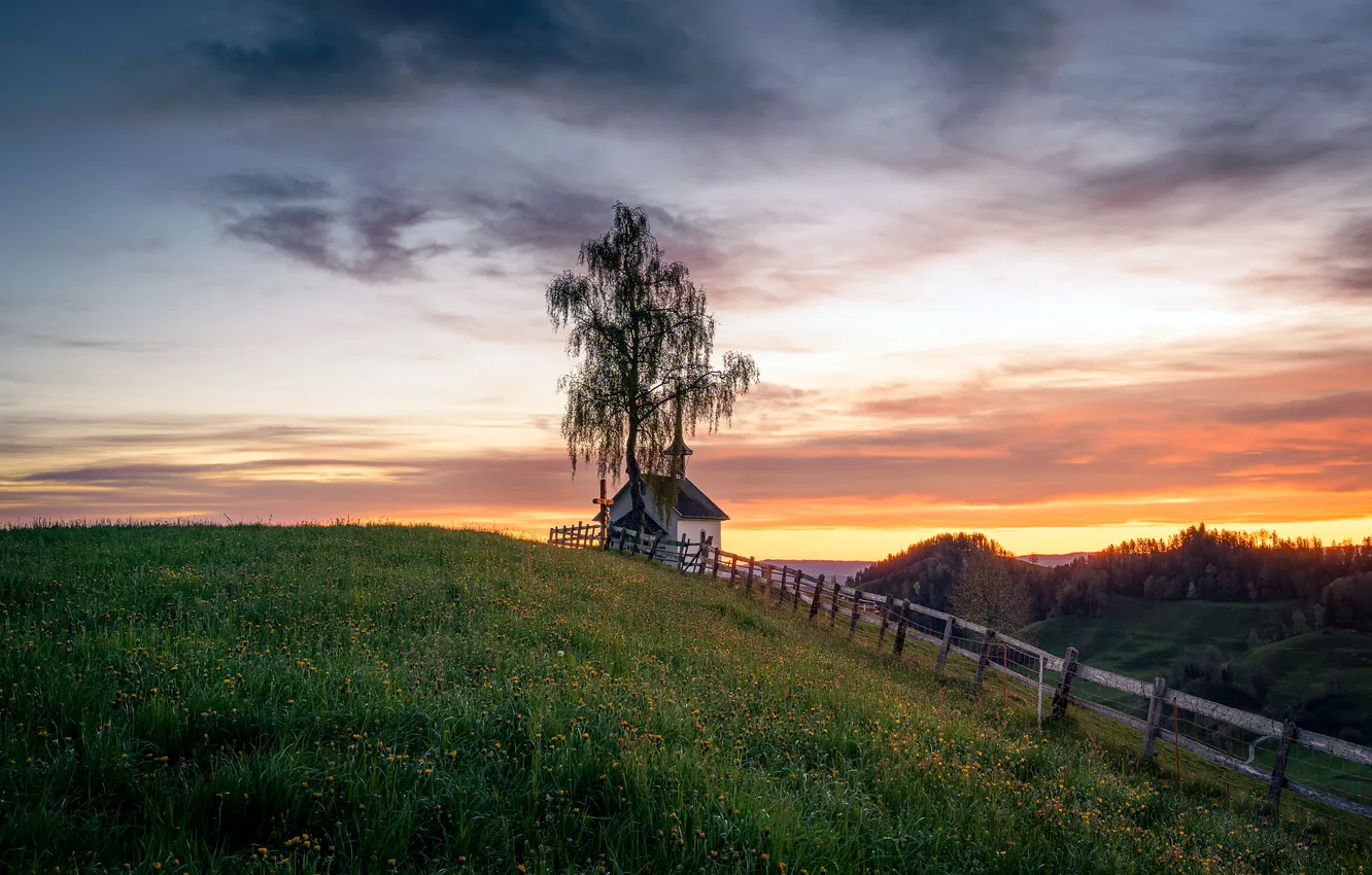 Фото обои лето, забор, зака