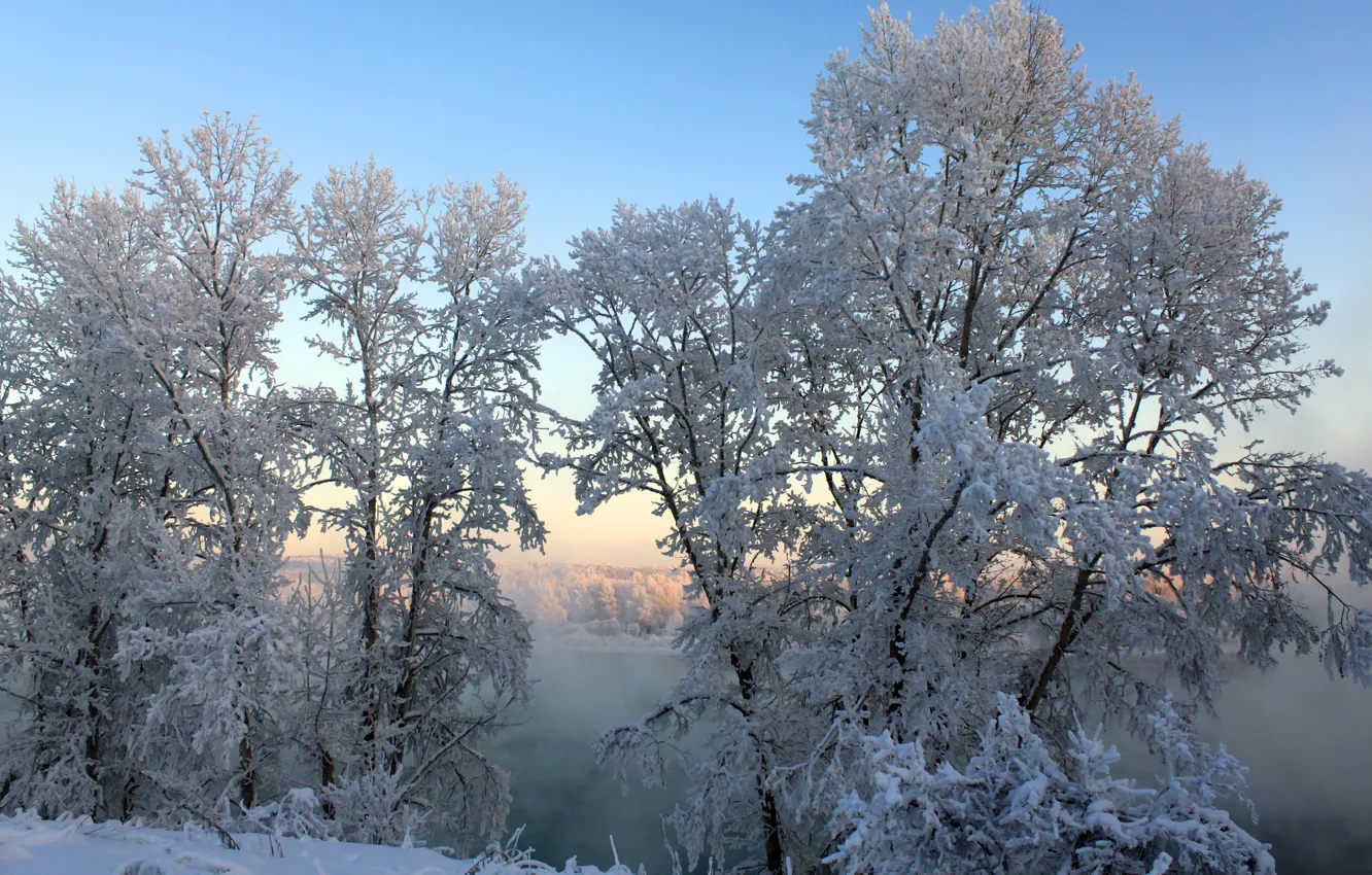 Фото обои зима, снег, деревья, природа, туман, фото