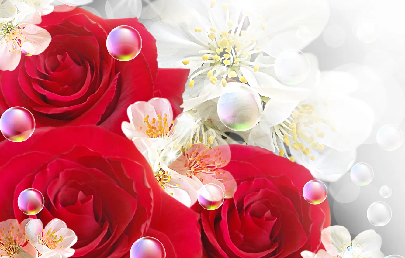 Фото обои цветы, пузыри, bubbles, цветочки, flowers, розы красные, roses are red