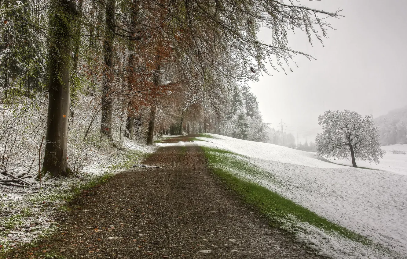 Фото обои дорога, снег, пейзаж, природа