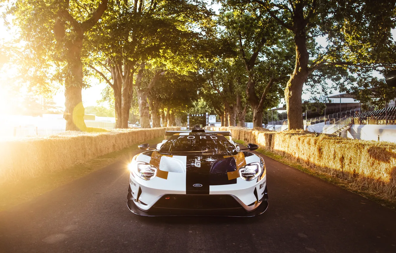 Фото обои Ford, Ford GT, спорткар, Mk II