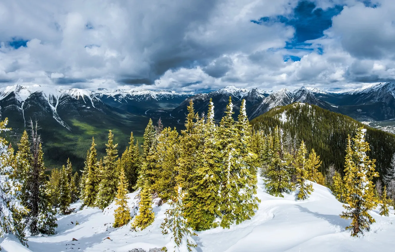 Фото обои зима, лес, облака, снег, деревья, горы, Альпы, леса