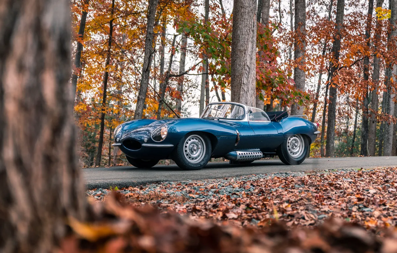 Фото обои Jaguar, roadster, 1957, XKSS, Jaguar XKSS