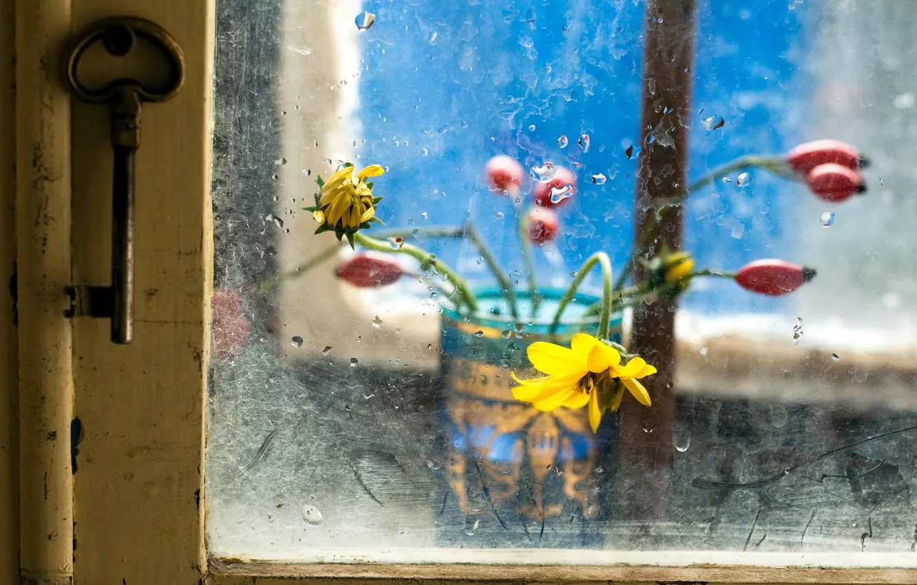 Фото обои стекло, цветы, ключ, окно
