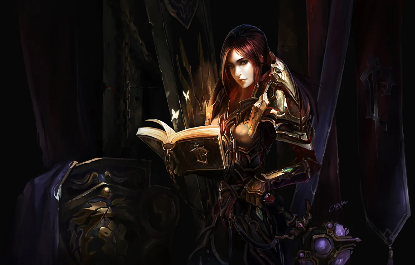 Фото обои девушка, оружие, доспехи, книга, WoW, World of Warcraft, щит, цепи