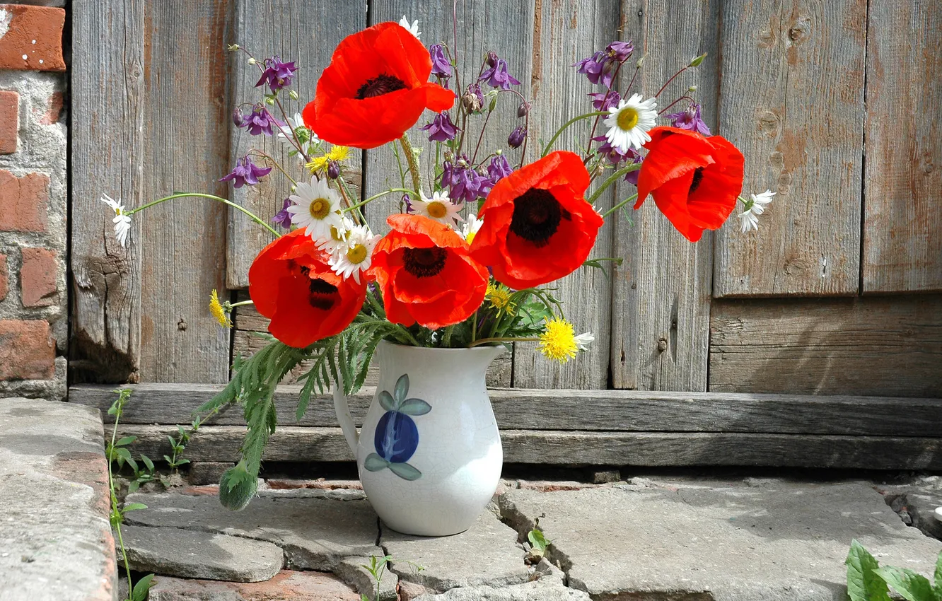 Фото обои цветы, обои, забор, ваза