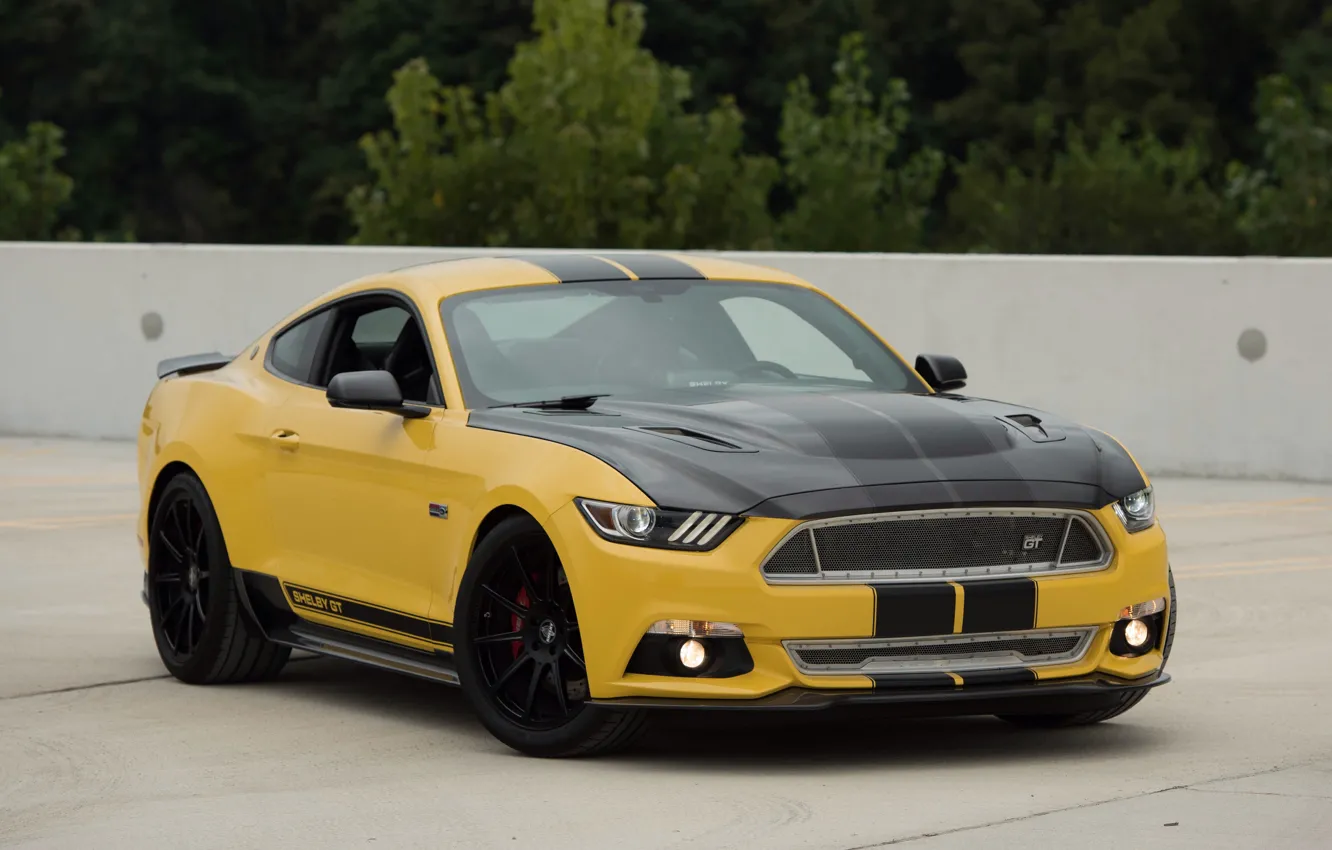 Фото обои авто, желтый, Mustang, Ford, Shelby, шелби, передок, маслкар
