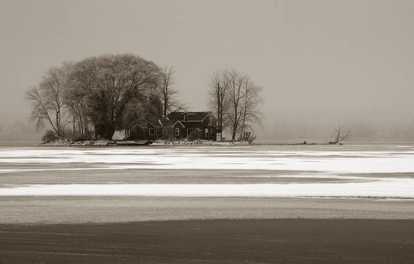 Фото обои зима, деревья, туман, озеро, дом, house, trees, winter