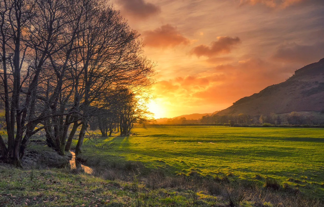 Фото обои поле, деревья, закат, ручей, Англия, зарево, Камбрия