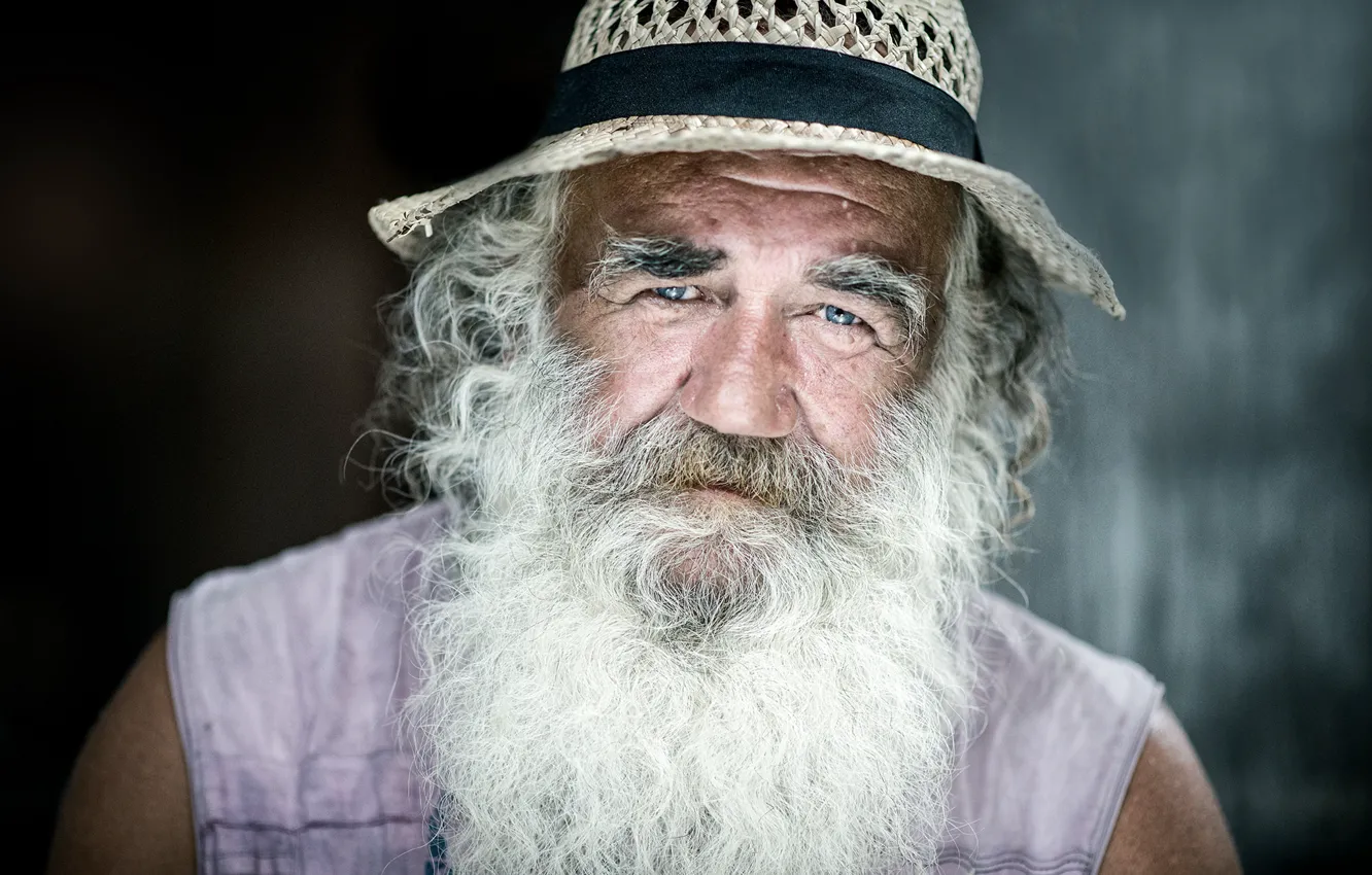 Фото обои bear, hat, old man, bearded, direct gaze