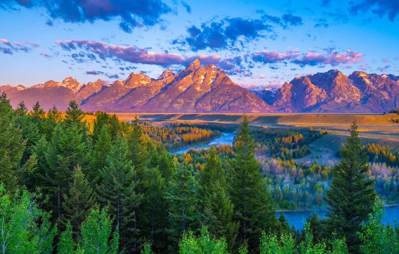 Фото обои лес, горы, США, парки, Grand Teton National Park