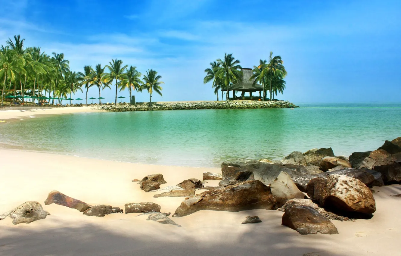Фото обои песок, море, пляж, пальмы, Малайзия, Борнео