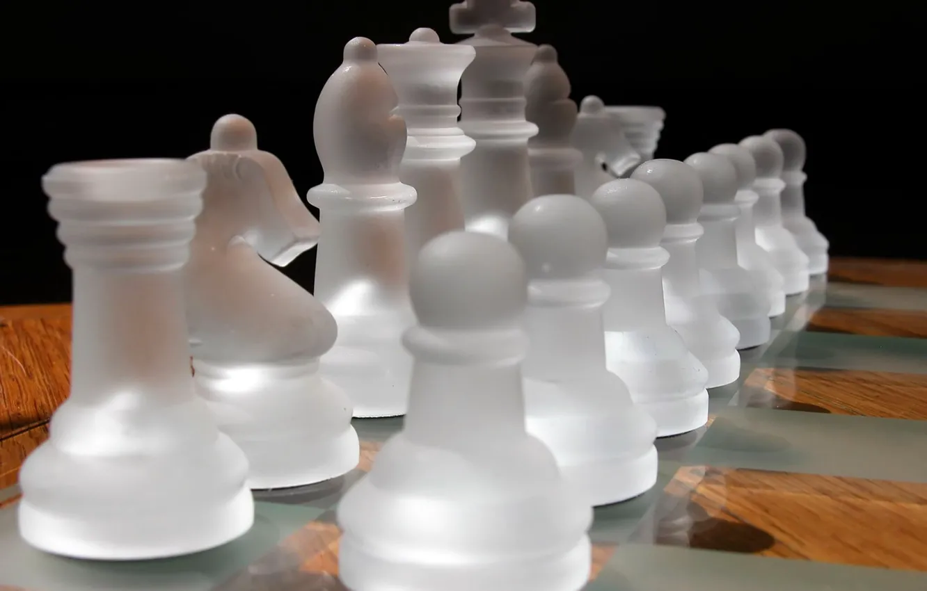 Фото обои шахматы, матовый, светотень