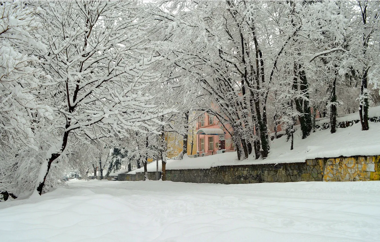 Фото обои деревья, город, Зима, Снег, Winter, Frost, Snow, Trees