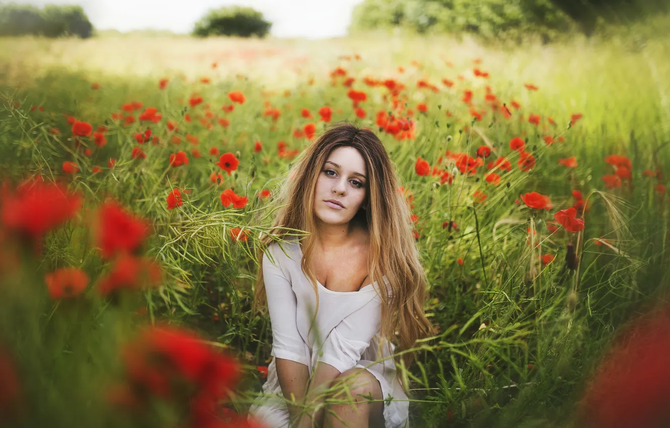 Фото обои поле, девушка, цветы, волосы, платье, губы, прямой взгляд