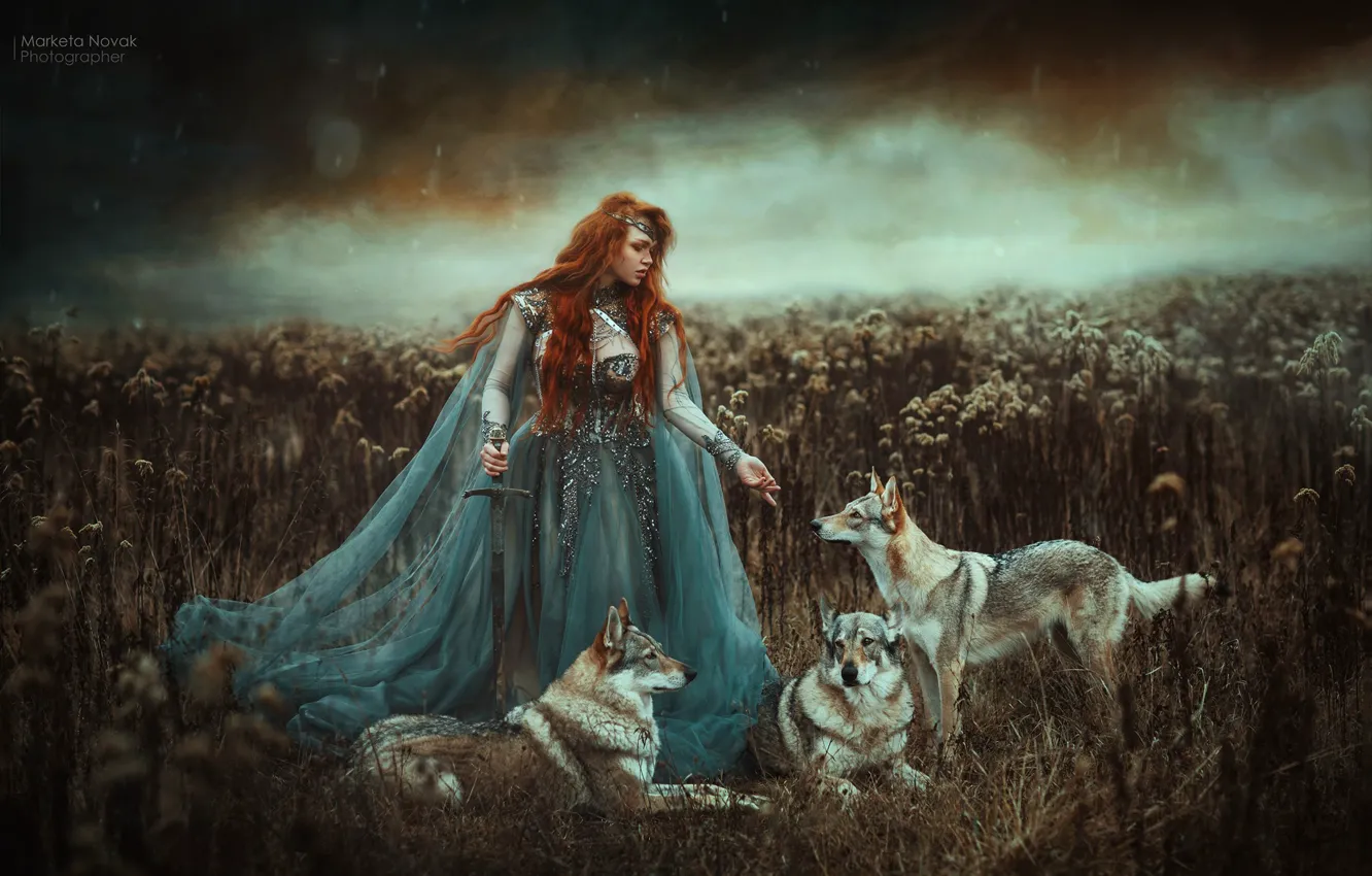 Фото обои девушка, меч, платье, волки, рыжая, рыжеволосая, Marketa Novak, Zuzana Kushniruk