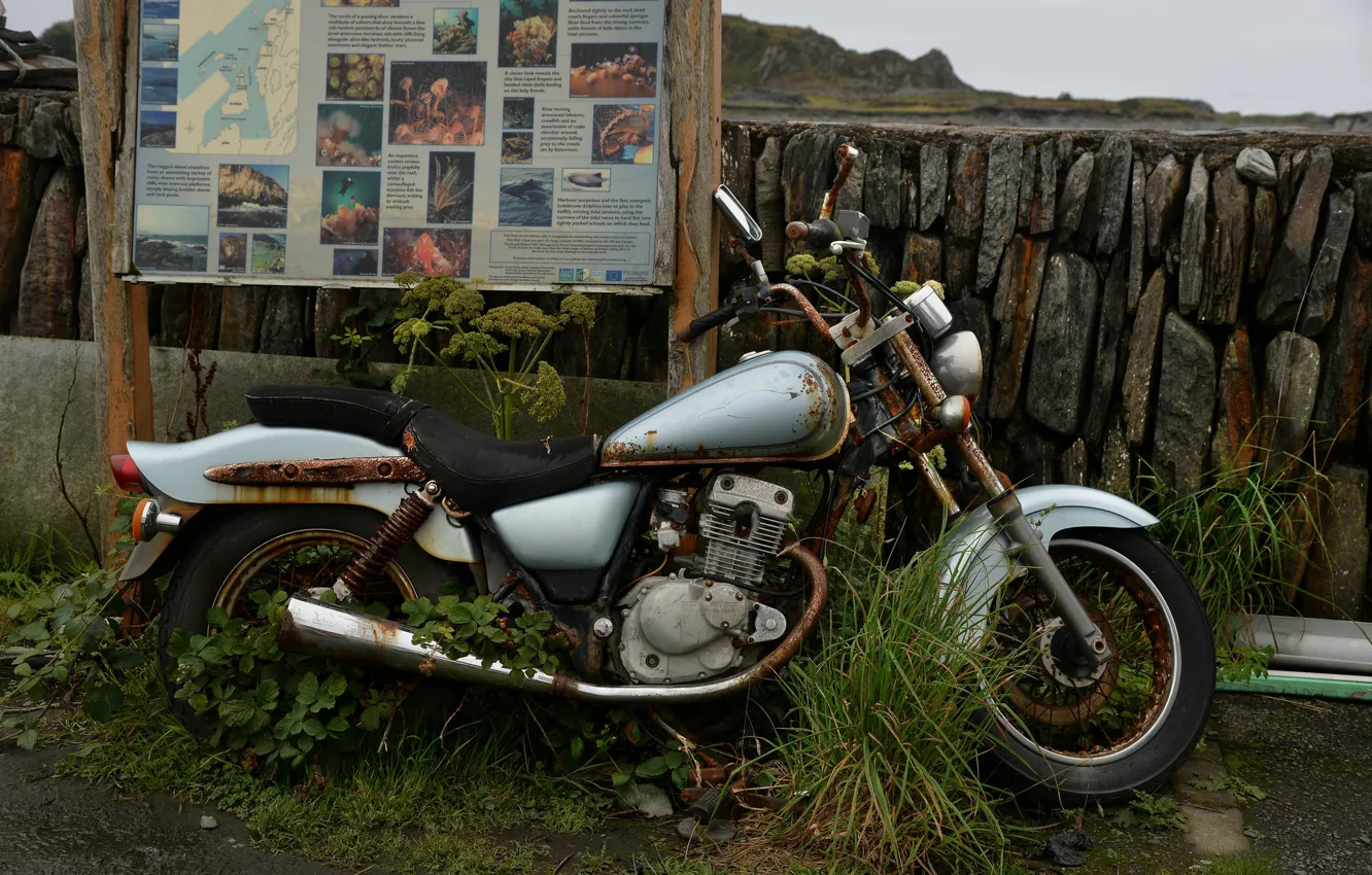 Фото обои фон, мотоцикл, Old Harley
