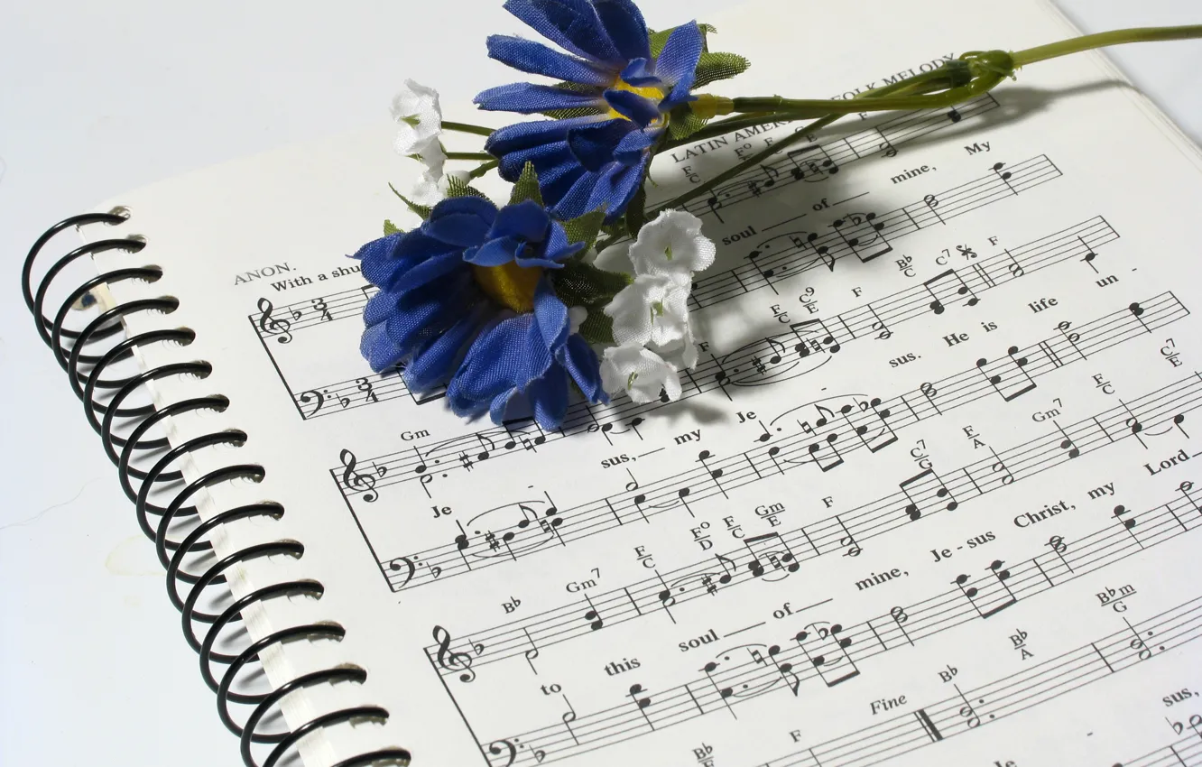Фото обои цветок, ноты, музыка, тетрадь