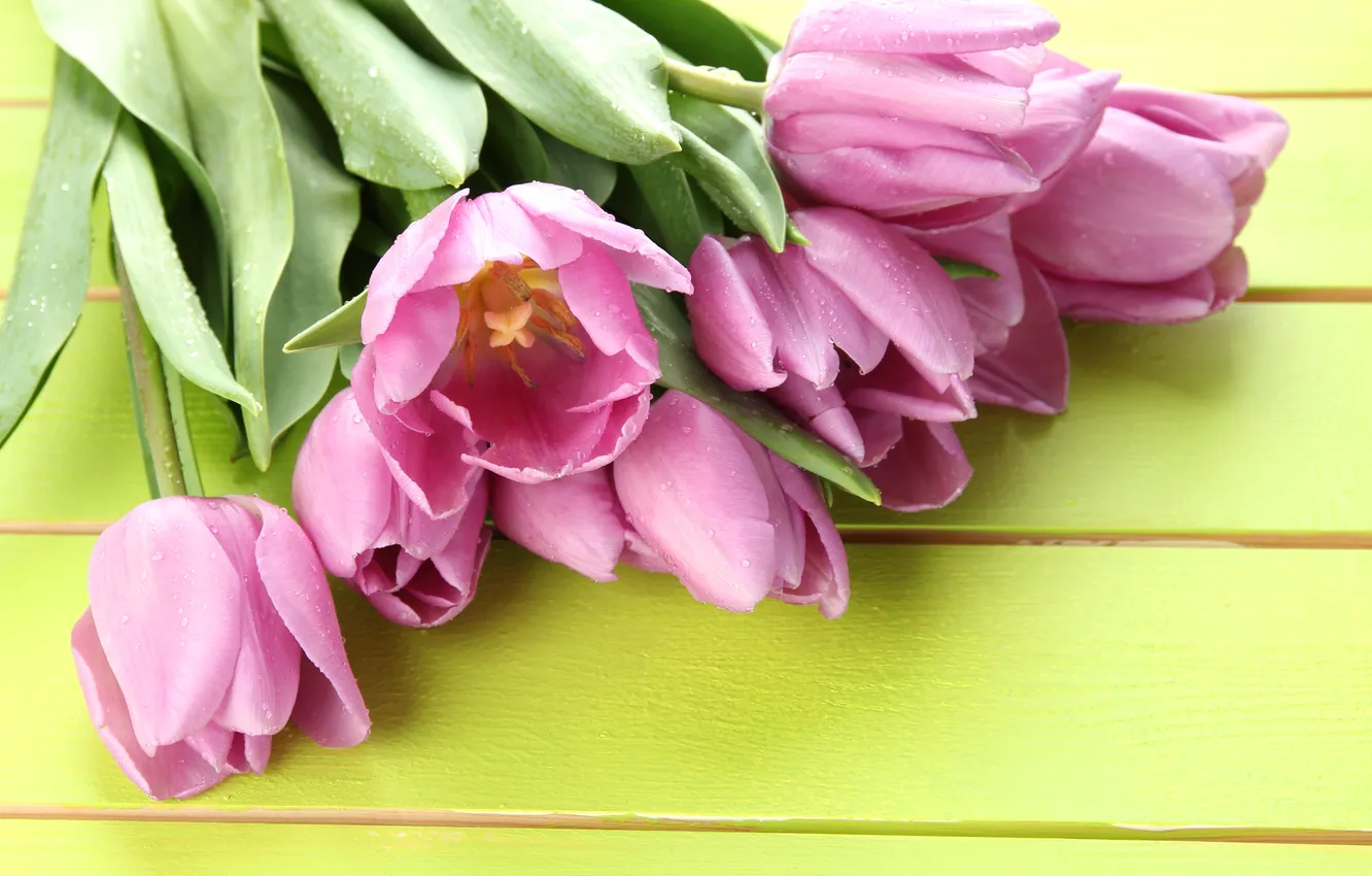 Фото обои цветы, букет, тюльпаны, розовые, wood, pink, flowers, beautiful