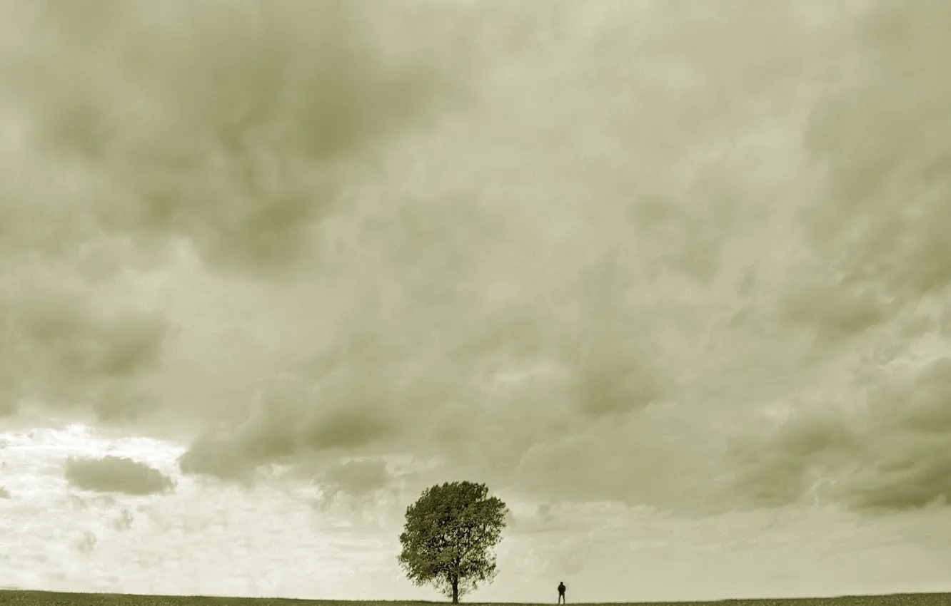 Фото обои грусть, дерево, человек