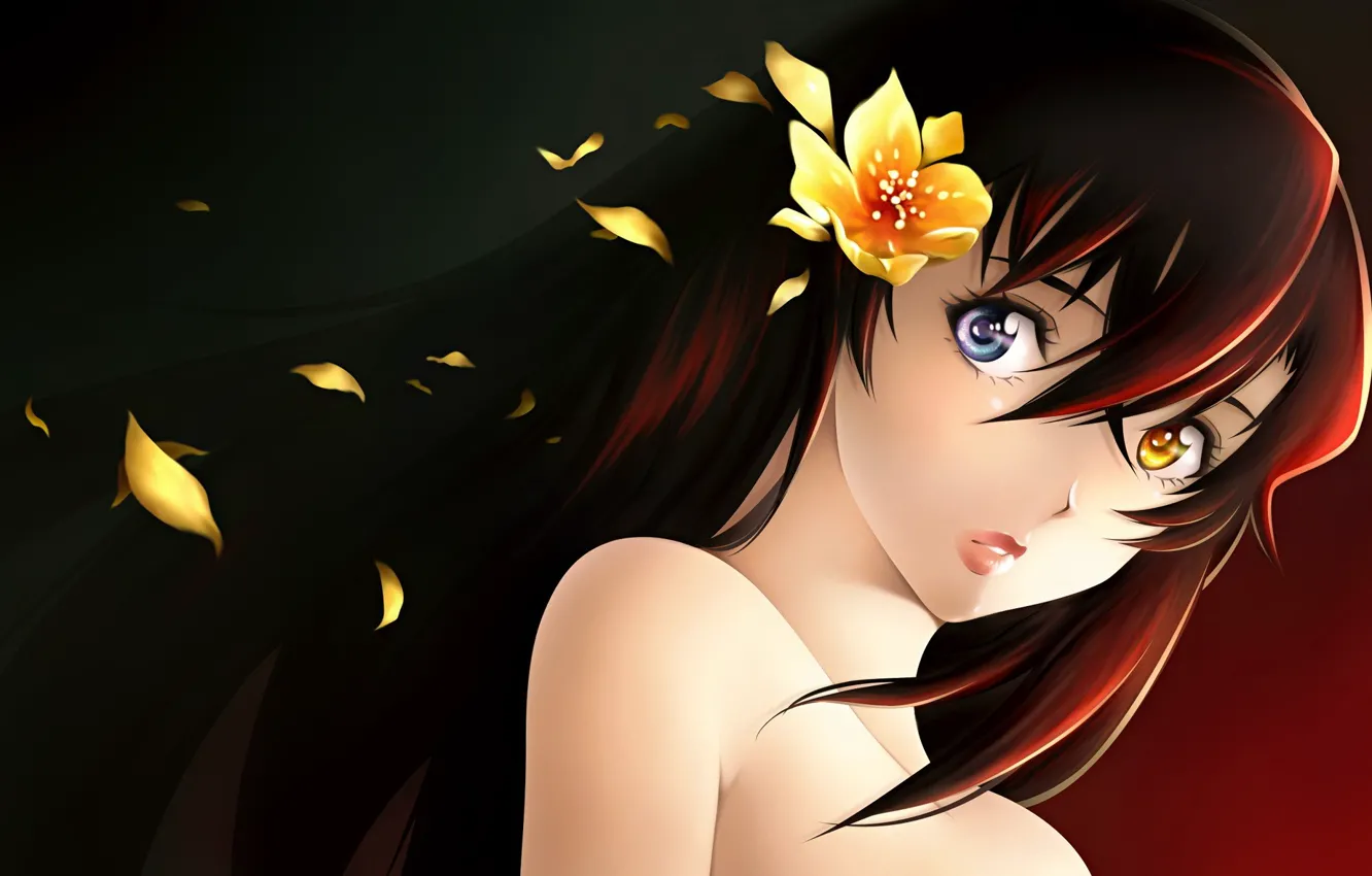 Фото обои цветок, девушка, волосы, аниме