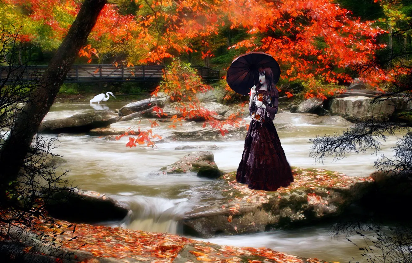 Фото обои девушка, мост, Осень, горная река, цапля, азия.