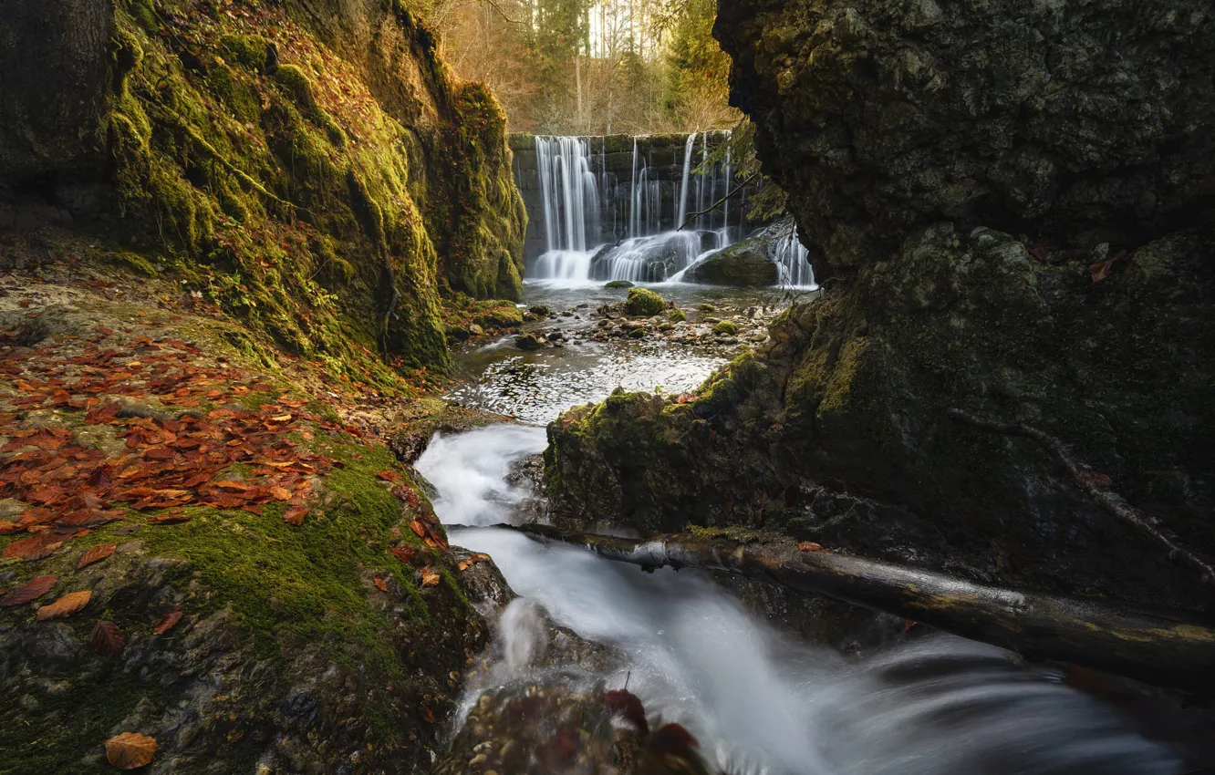Фото обои осень, камни, скалы, листва, вид, водопад, мох, листопад
