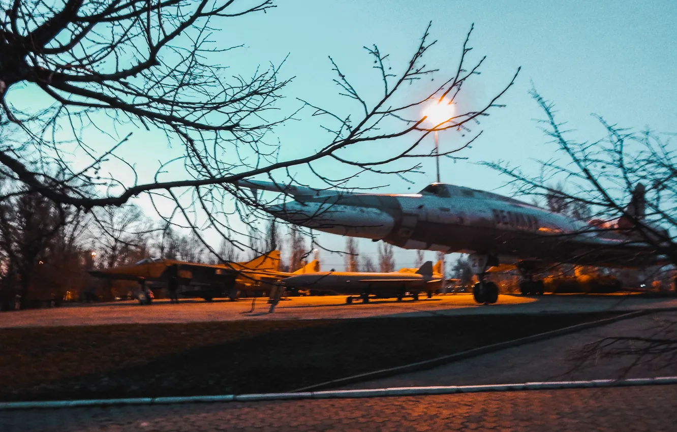 Фото обои небо, природа, парк, самолет, победа, прогулка