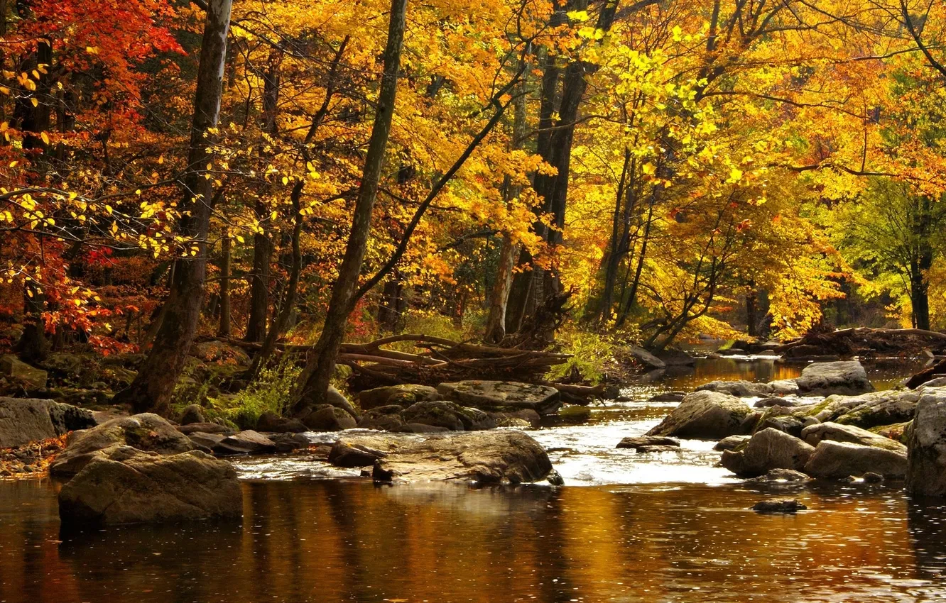Фото обои осень, вода, деревья, горы, природа, река, камни, леса