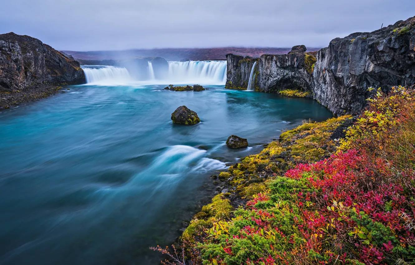 Фото обои цветы, водопад, весна, Исландия, Годафосс