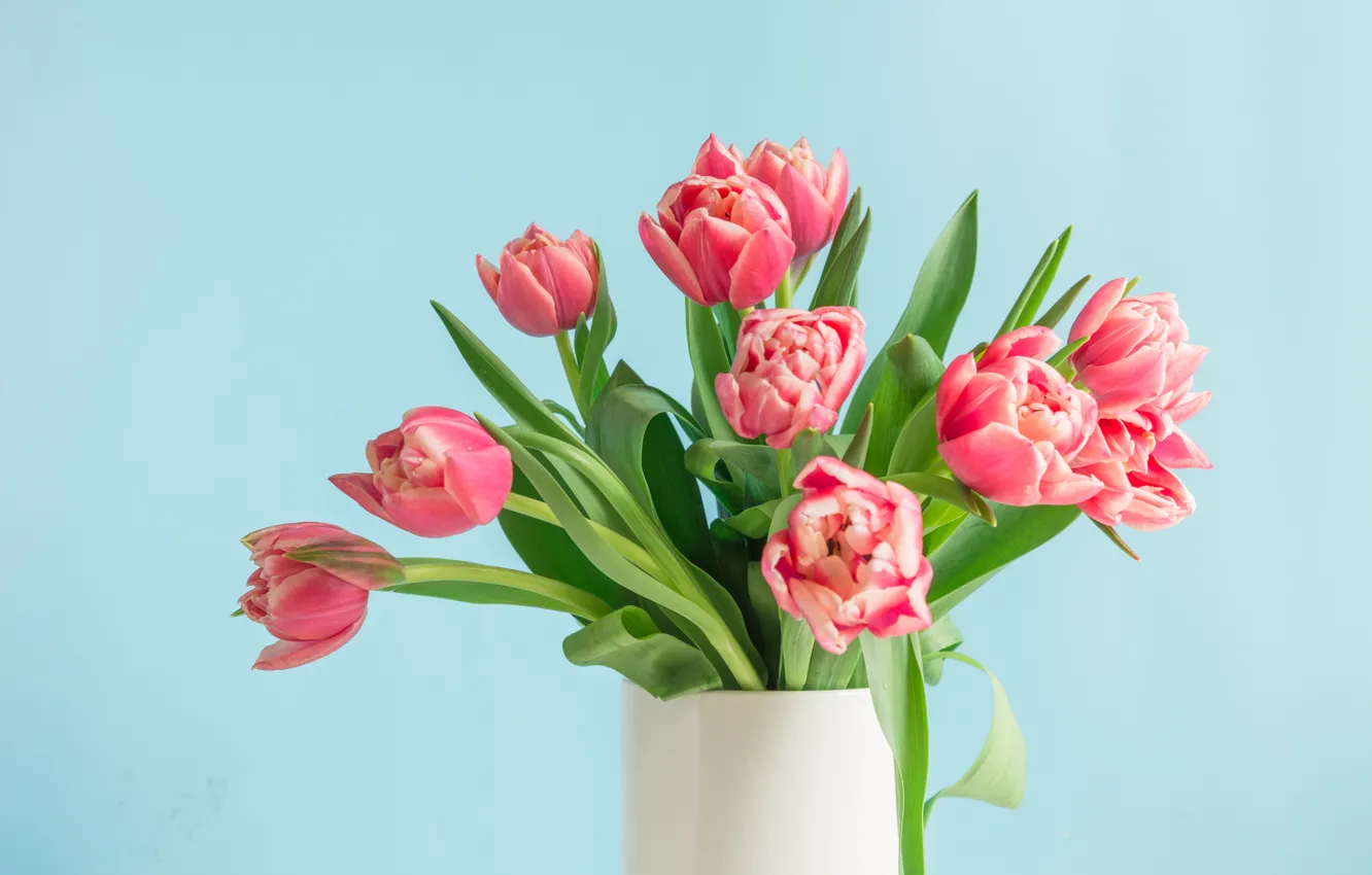 Фото обои стол, фон, голубой, букет, тюльпаны, ваза, нежные