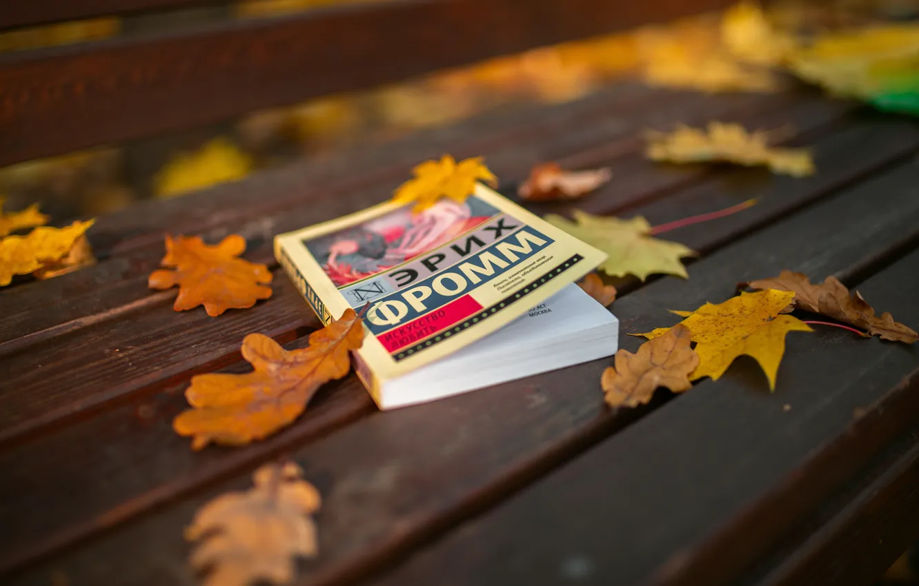 Фото обои осень, скамейка, парк, листва, лавочка, книга, листя