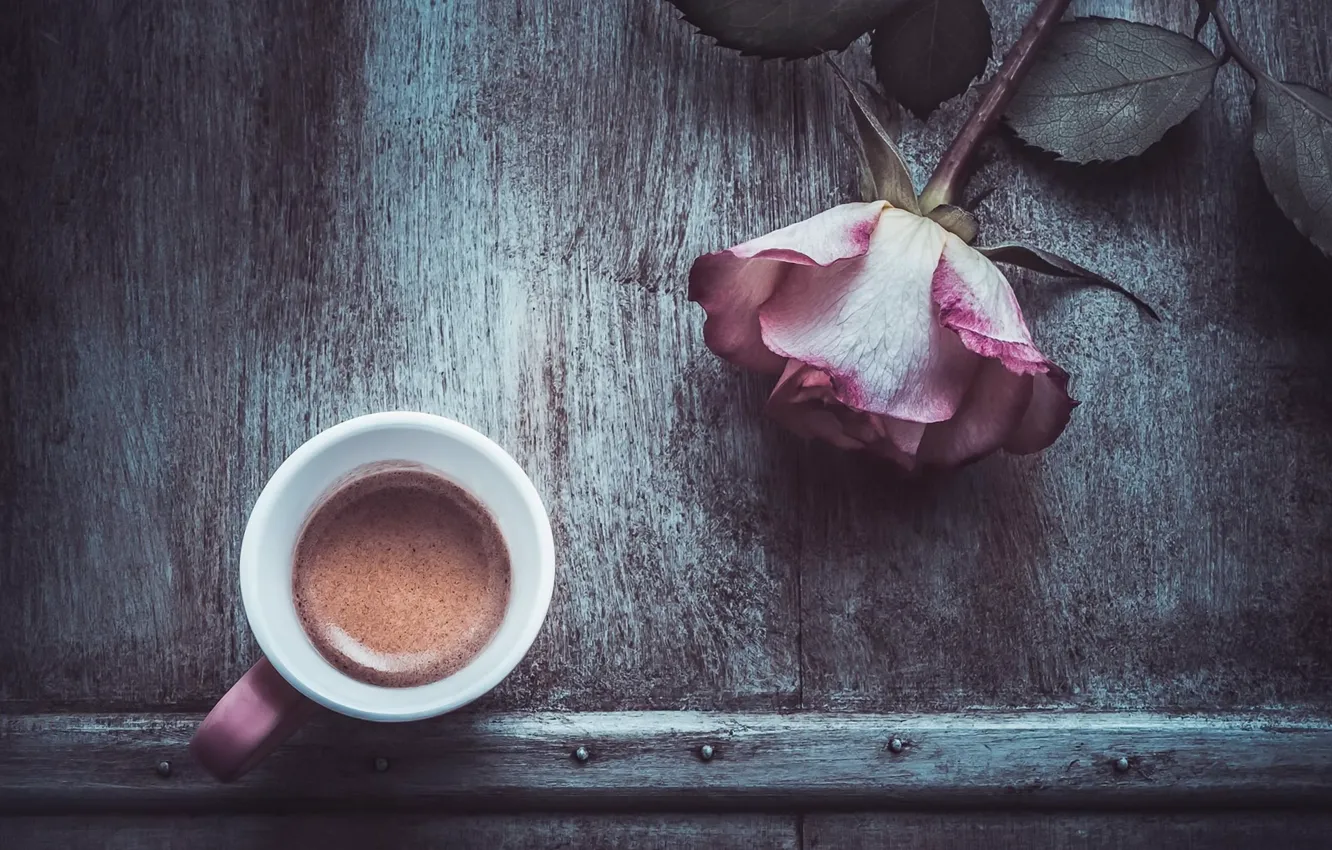 Фото обои цветок, роза, кофе