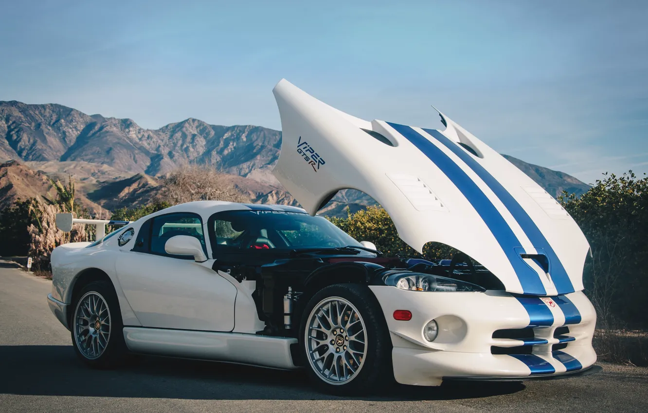Фото обои машина, белый, Капот, Dodge Viper GT2