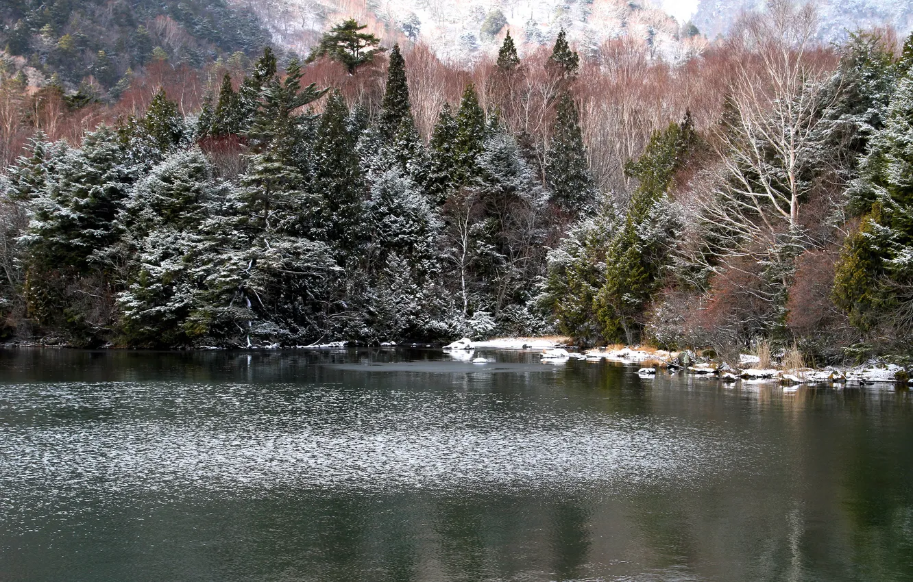 Фото обои лес, снег, горы, озеро