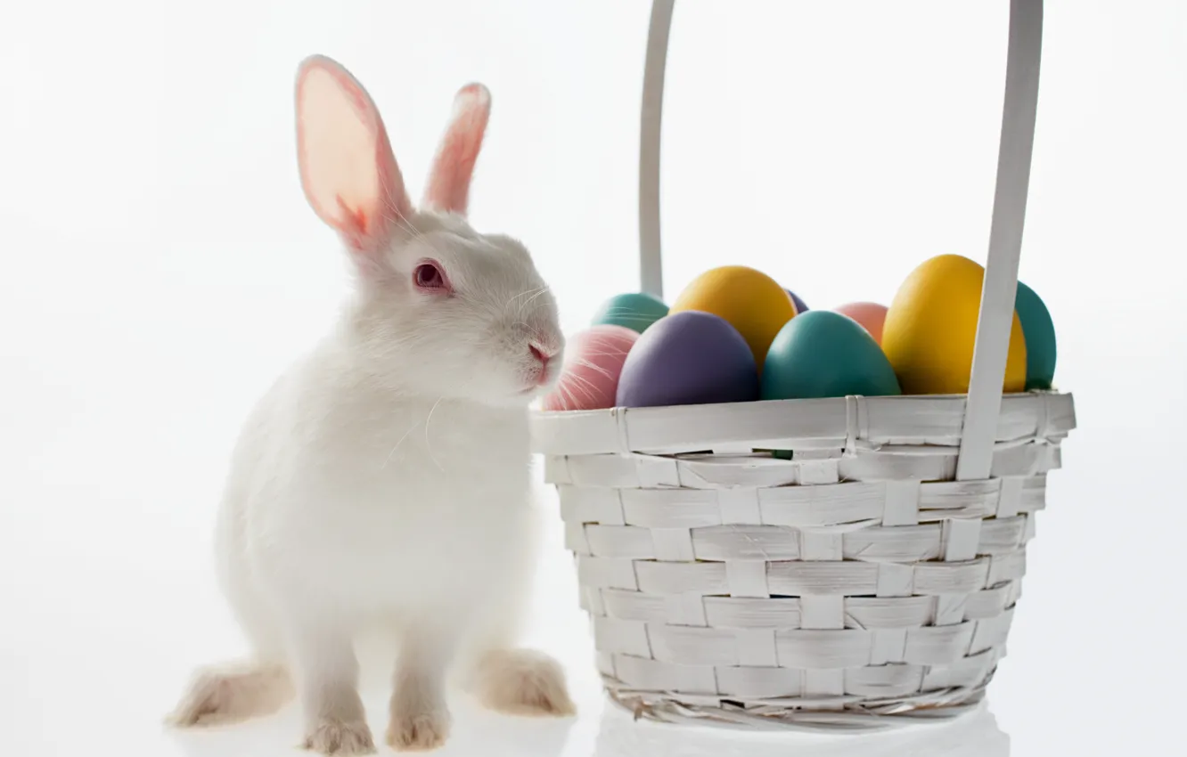 Фото обои корзина, яйцо, кролик, пасха, easter