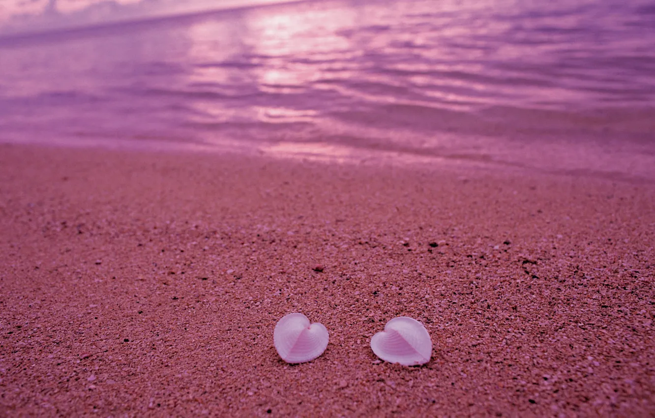 Фото обои песок, пляж, любовь, розовый, берег, сердце, ракушки