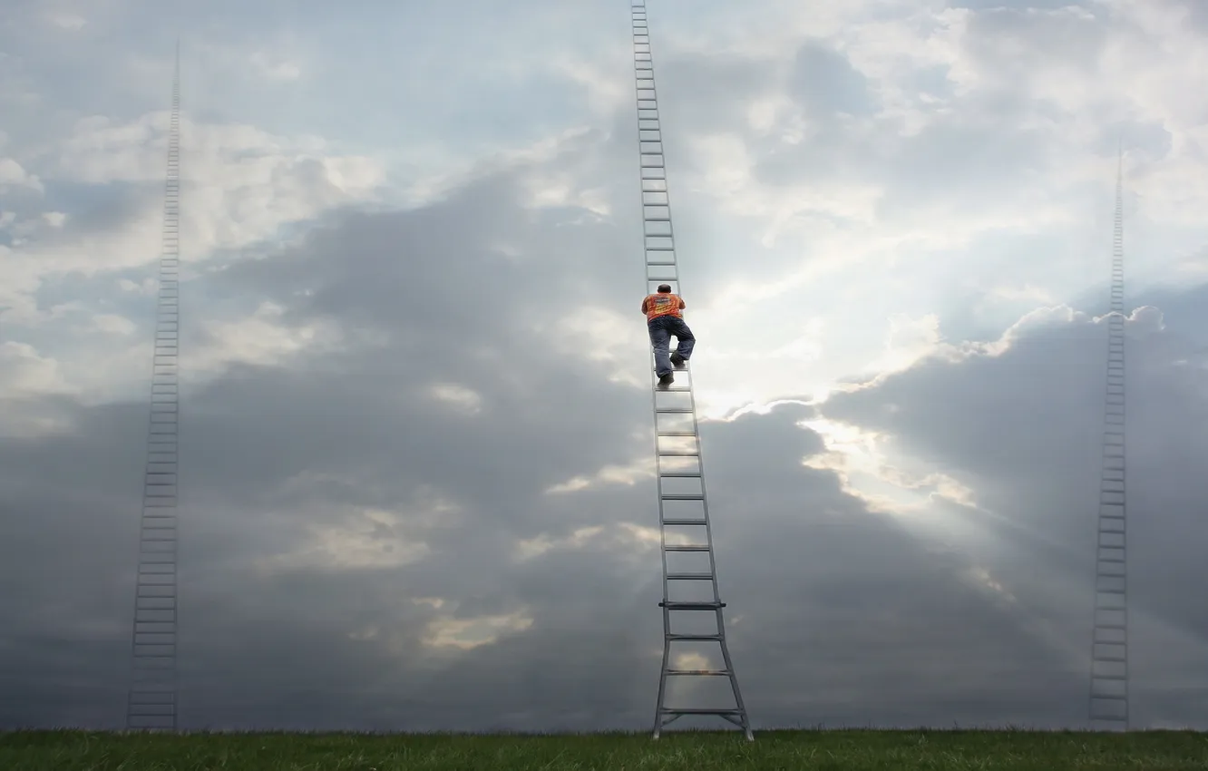 Фото обои climb, ladders, Ascent, choices, many paths to Heaven