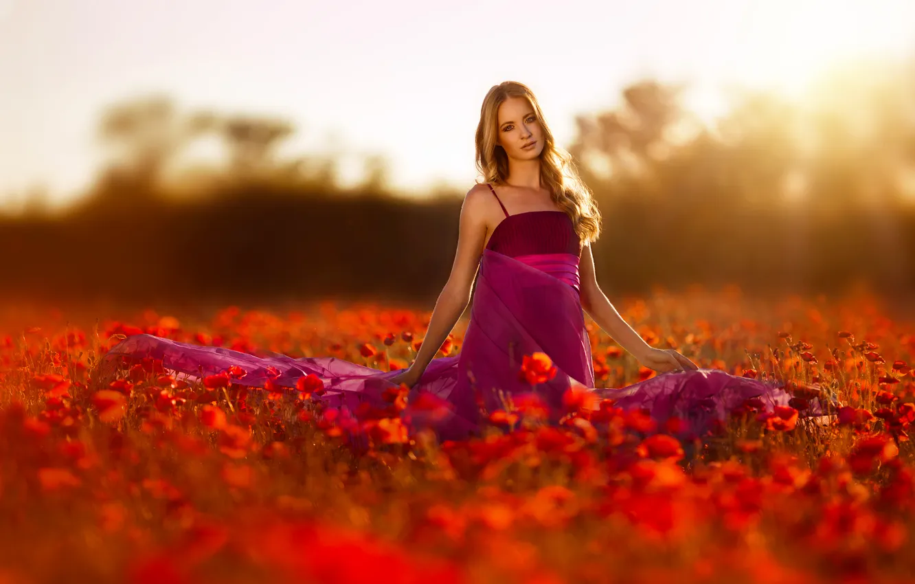 Фото обои Sunset, Beauty, Woman, Dream, Field, Portrait, Dress, Poppy