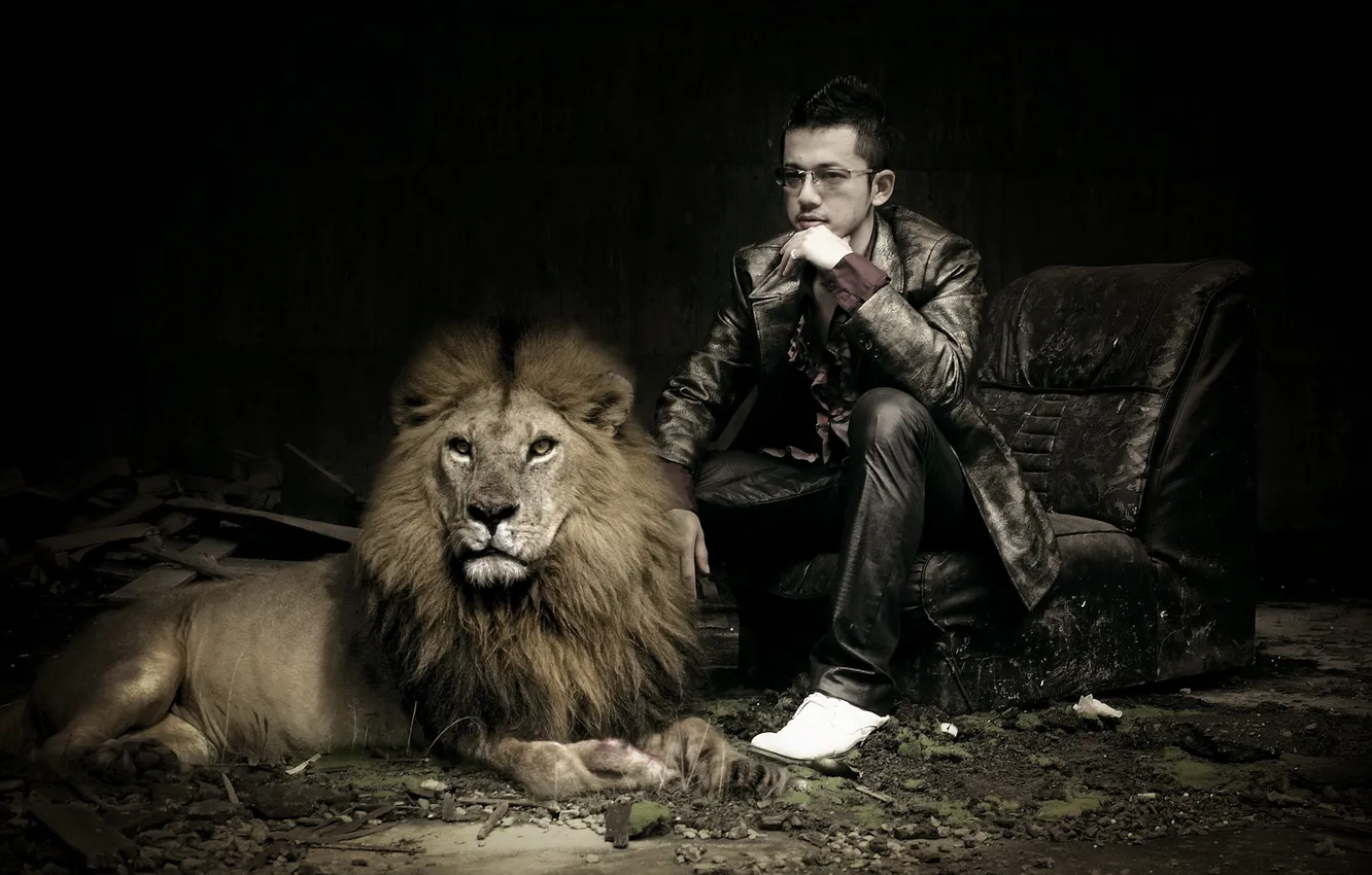 Фото обои фон, человек, лев