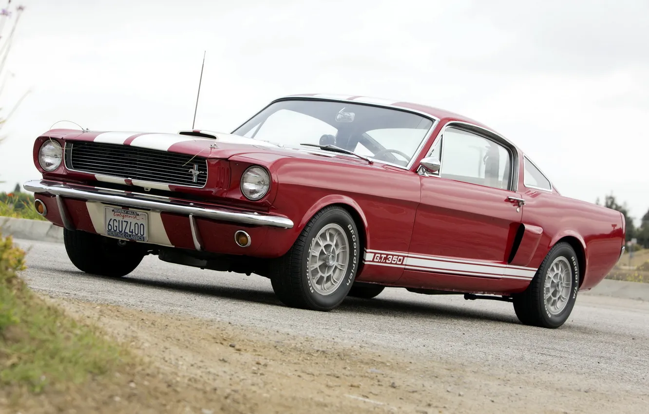 Фото обои машина, Mustang, Ford, Shelby, мускул кар, форд, 1966, GT350